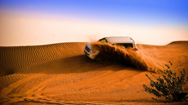 Morning Desert Safari Private Car